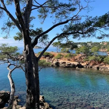 Au Coeur Du Village *